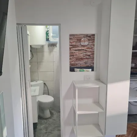 под старой лозой Нови-Сад