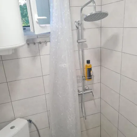 под старой лозой *